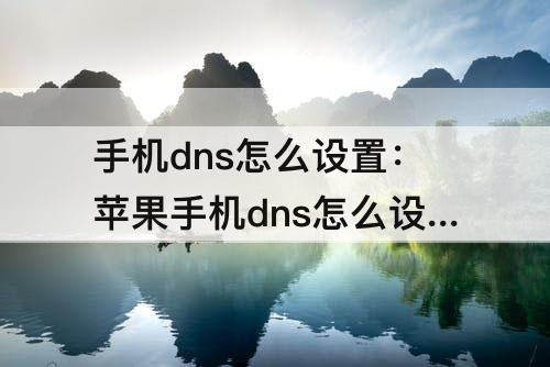 手机dns怎么设置：苹果手机dns怎么设置