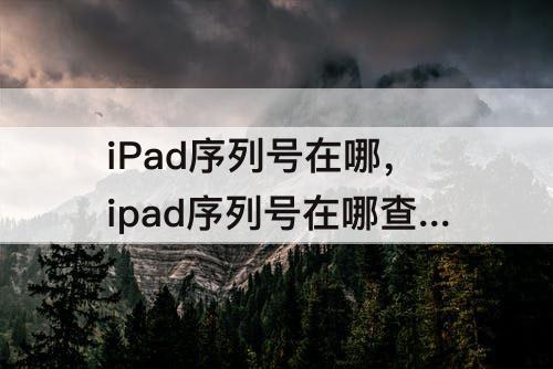 iPad序列号在哪，ipad序列号在哪查看