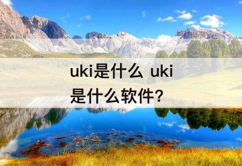 uki是什么 uki是什么软件?