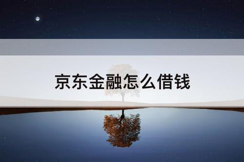 京东金融怎么借钱