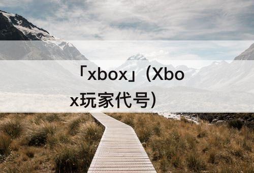 「xbox」(Xbox玩家代号)