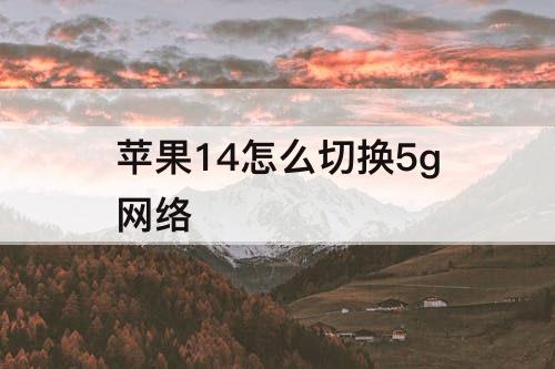 苹果14怎么切换5g网络