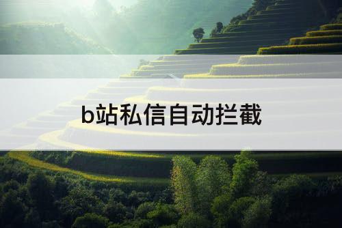 b站私信自动拦截