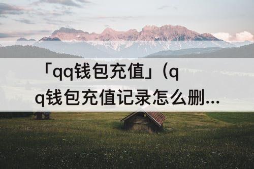 「qq钱包充值」(qq钱包充值记录怎么删除)