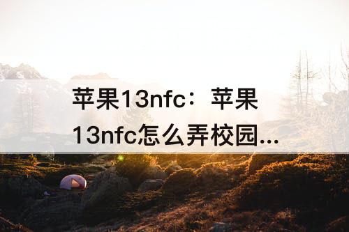 苹果13nfc：苹果13nfc怎么弄校园卡