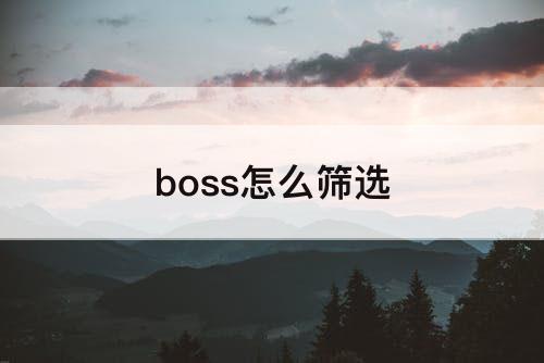 boss怎么筛选