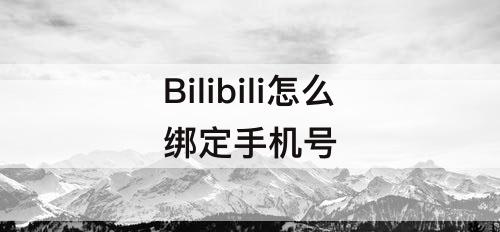Bilibili怎么绑定手机号