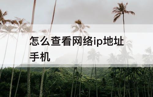 怎么查看网络ip地址手机