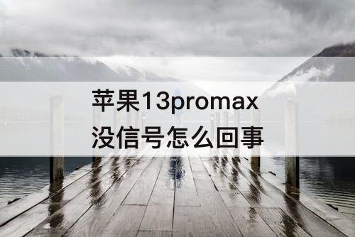 苹果13promax没信号怎么回事