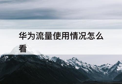 华为流量使用情况怎么看