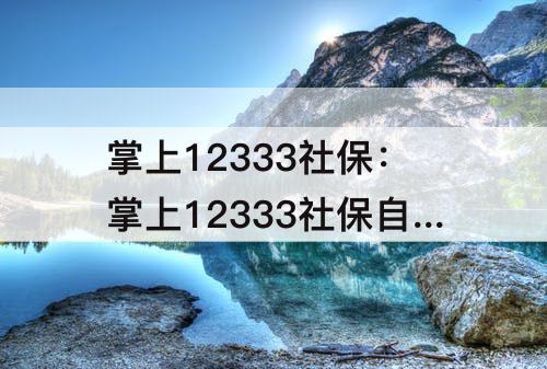 掌上12333社保：掌上12333社保自助认证如何第二次进入