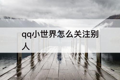 qq小世界怎么关注别人