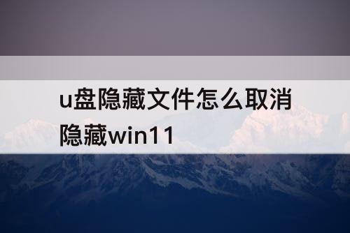 u盘隐藏文件怎么取消隐藏win11