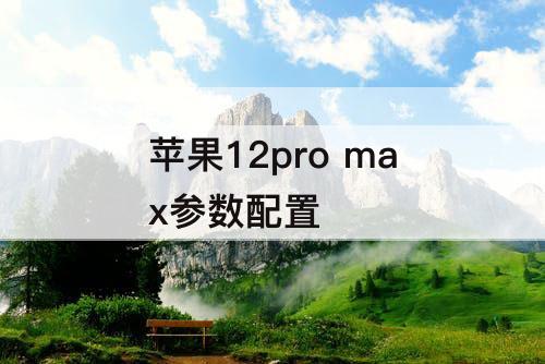 苹果12pro max参数配置