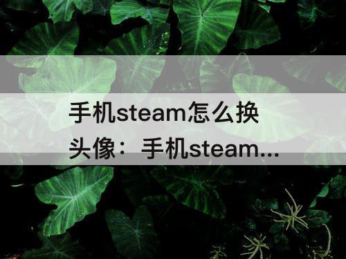 手机steam怎么换头像：手机steam怎么换头像ios