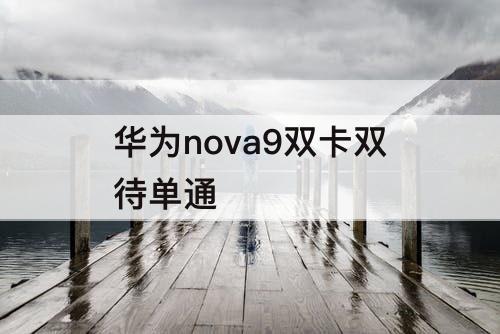华为nova9双卡双待单通