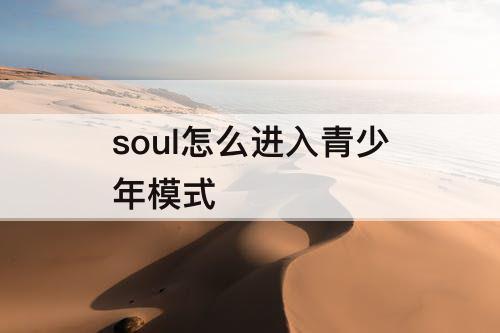 soul怎么进入青少年模式