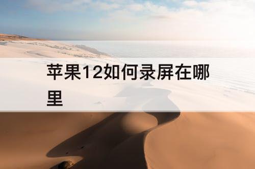 苹果12如何录屏在哪里