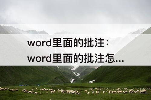 word里面的批注：word里面的批注怎么用