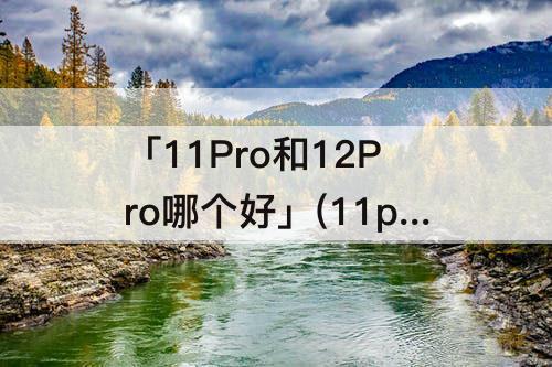 「11Pro和12Pro哪个好」(11pro和12pro哪个好用)