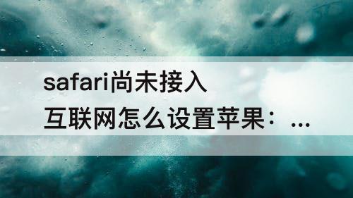 safari尚未接入互联网怎么设置苹果：safari尚未接入互联网怎么设置苹果12