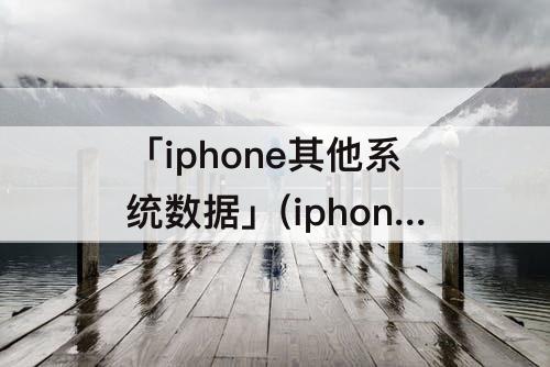 「iphone其他系统数据」(iphone其他系统数据太大)