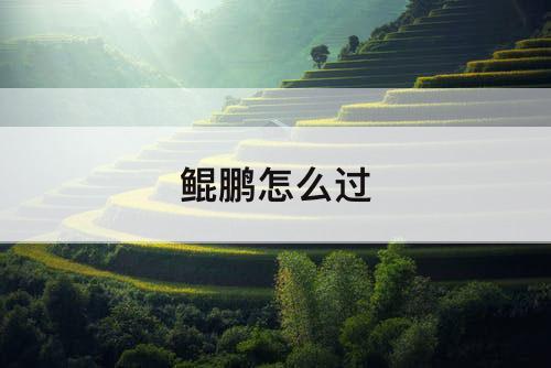 鲲鹏怎么过