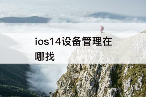 ios14设备管理在哪找