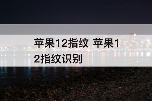 苹果12指纹 苹果12指纹识别