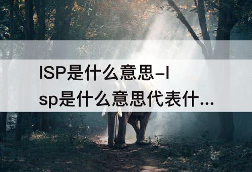 lSP是什么意思-lsp是什么意思代表什么