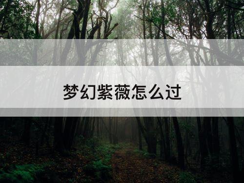 梦幻紫薇怎么过