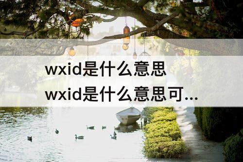 wxid是什么意思 wxid是什么意思可以删除吗