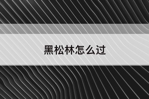 黑松林怎么过