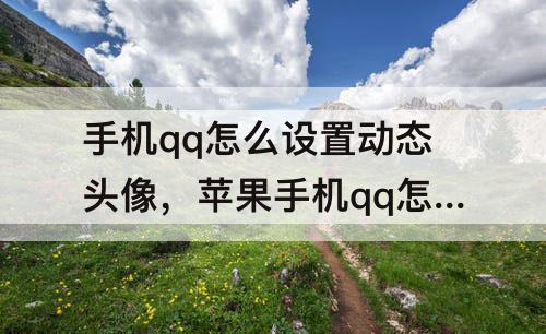 手机qq怎么设置动态头像，苹果手机qq怎么设置动态头像