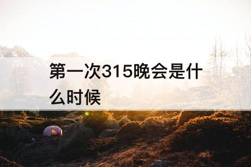 第一次315晚会是什么时候