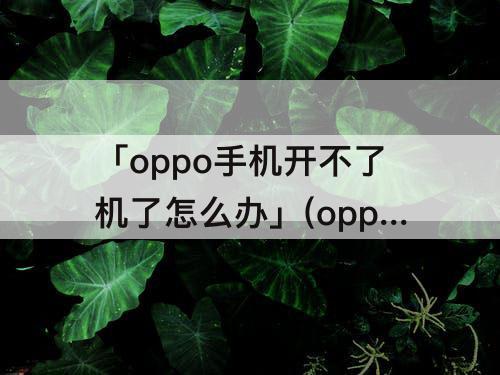 「oppo手机开不了机了怎么办」(oppo手机开不了机了怎么办一直显示POWEREDBY)