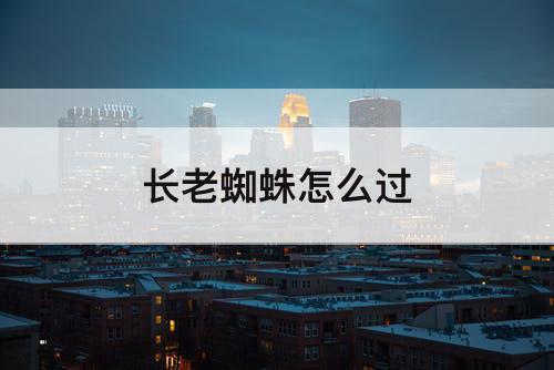 长老蜘蛛怎么过