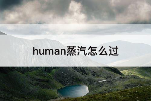 human蒸汽怎么过