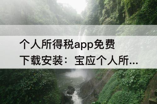 个人所得税app免费下载安装：宝应个人所得税app免费下载安装