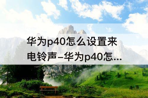 华为p40怎么设置来电铃声-华为p40怎么设置来电铃声加震动