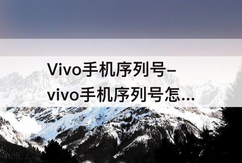 Vivo手机序列号-vivo手机序列号怎么看是不是翻新机