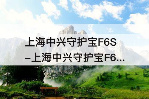 上海中兴守护宝F6S-上海中兴守护宝F6S全网通8+128GB