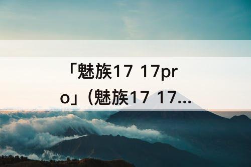 「魅族17 17pro」(魅族17 17pro买哪个)