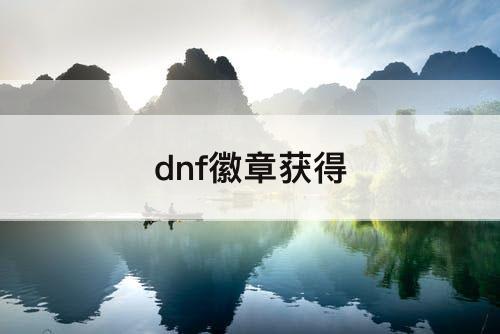 dnf徽章获得