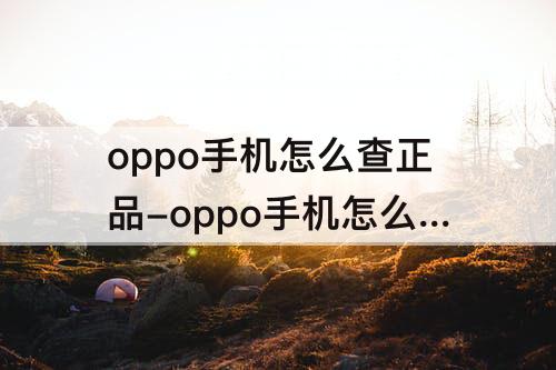 oppo手机怎么查正品-oppo手机怎么查正品行货