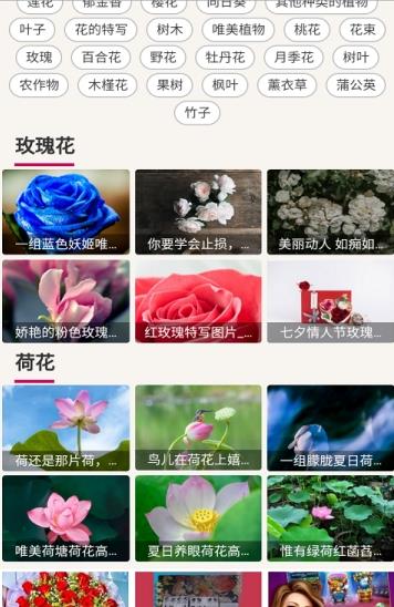 哇图库  v2.1.0图2