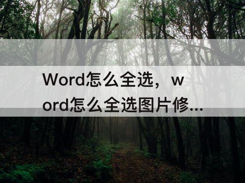 Word怎么全选，word怎么全选图片修改格式