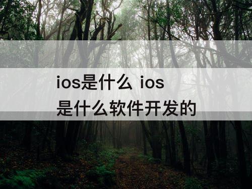 ios是什么 ios是什么软件开发的