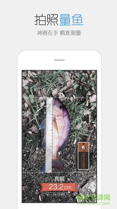 catches渔获  v3.9.52图1