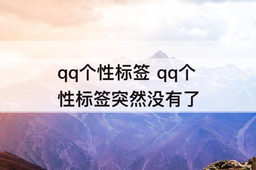 qq个性标签 qq个性标签突然没有了